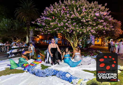 126 ACF8016 (c)André Frias