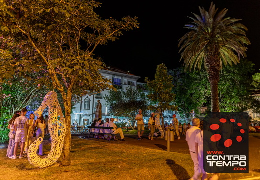 127 ACF8005 (c)André Frias