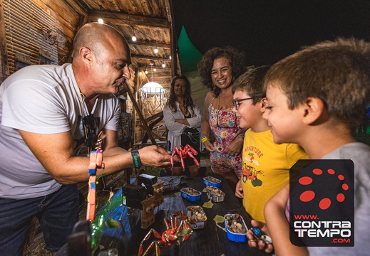 208-cmpach-9812-Claudio M Pacheco Large