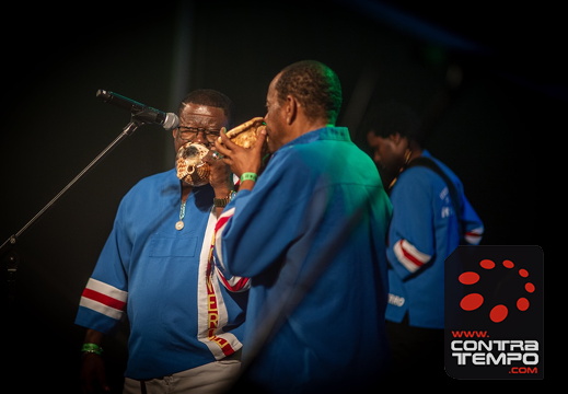 164- ACF2496-Andre Frias Large