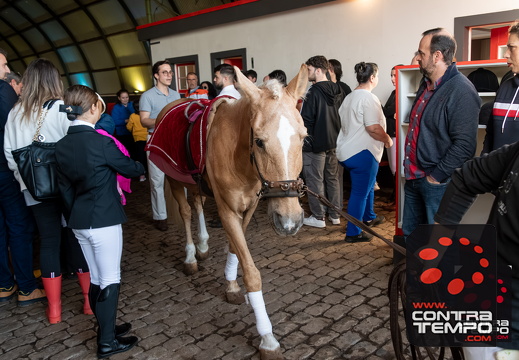 001 ACF5964-Enhanced-NR(Andre Frias)