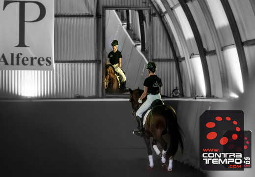 022 ACF6239-Enhanced-NR(Andre Frias)