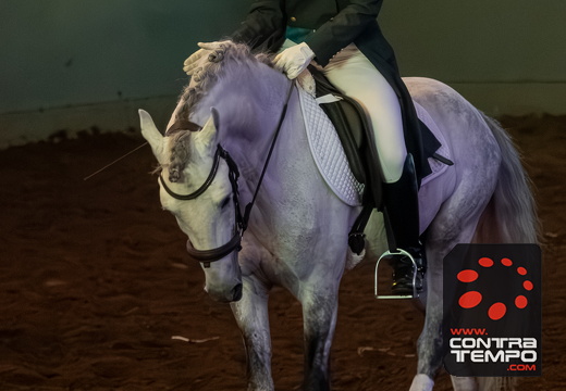 039 ACF6537-Enhanced-NR(Andre Frias)