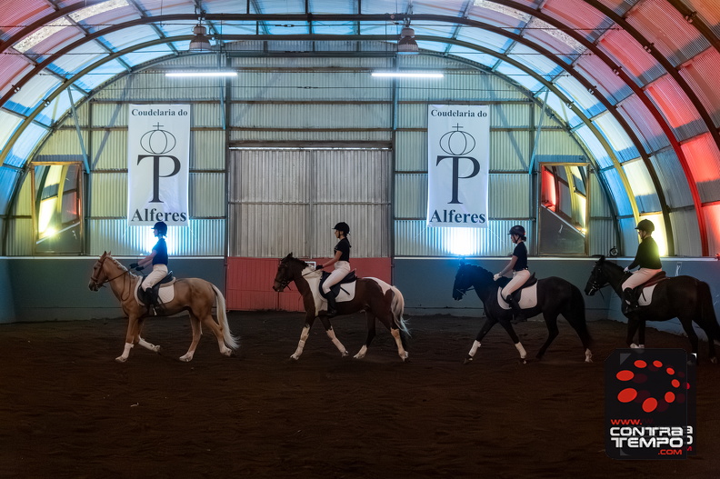 059_ACF6685-Enhanced-NR(Andre Frias).jpg