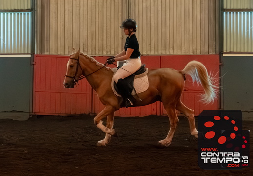 074 ACF6866-Enhanced-NR(Andre Frias)