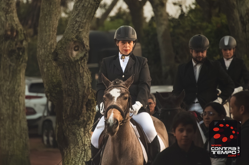 079_ACF6927-Enhanced-NR(Andre Frias).jpg