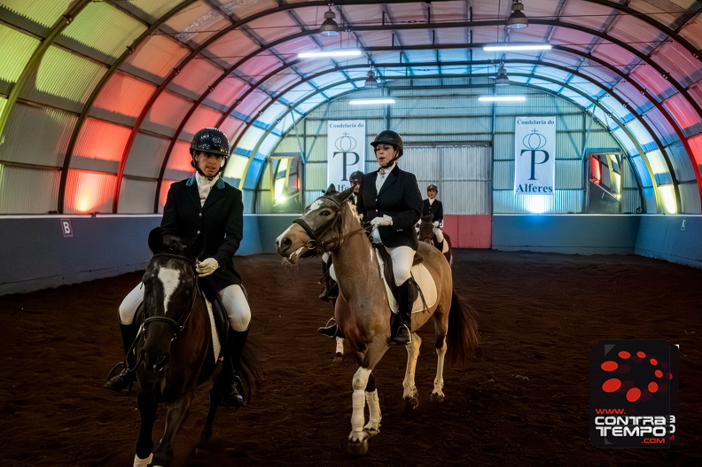 085_ACF7202-Enhanced-NR(Andre Frias).jpg