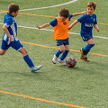 004 ACF7919(Andre Frias) (Large)
