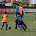 027 ACF8034(Andre Frias) (Large)