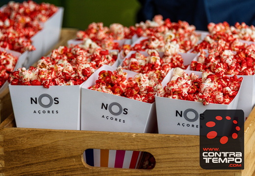 088 ACF8288(Andre Frias) (Large)