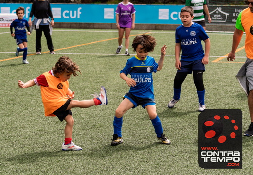 172 ACF8661(Andre Frias) (Large)