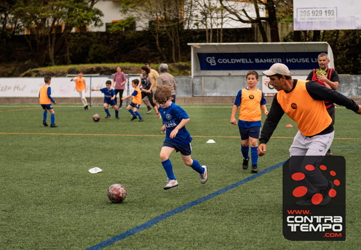 208 ACF0244(Andre Frias) (Large)