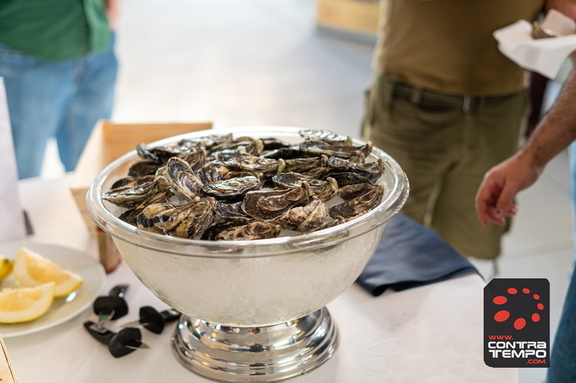 095 ACF0210 (c)André Frias