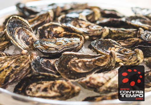 096 ACF0212 (c)André Frias