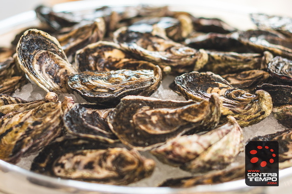 096 ACF0212 (c)André Frias