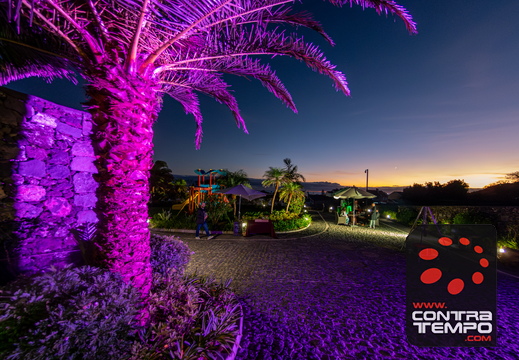 137 ACF2211 (c)André Frias