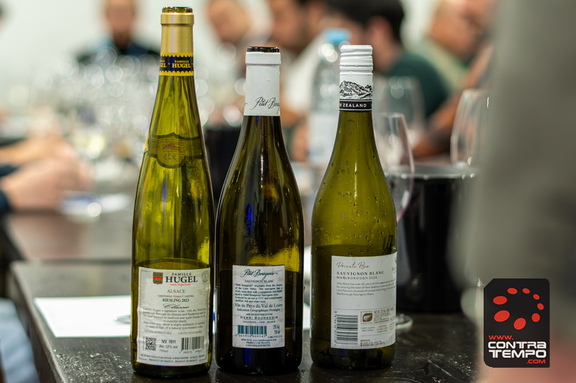 141 ACF2239 (c)André Frias