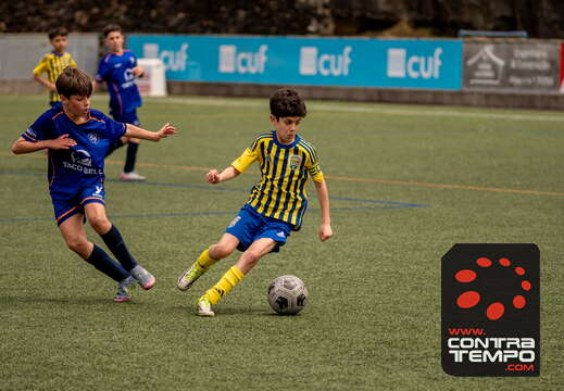Final 
